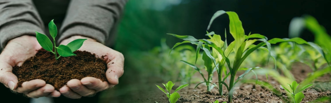 Agriculture Chemicals