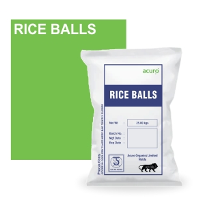 Rice Balls