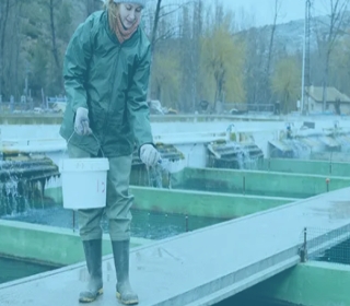 Aquaculture